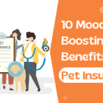 Best Pet Insurance: A Guide for Loving Pet Owners