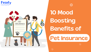 Best Pet Insurance: A Guide for Loving Pet Owners